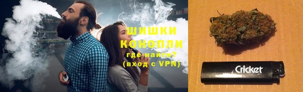 стаф Балахна