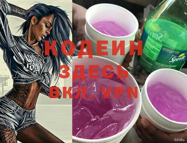 стаф Балахна