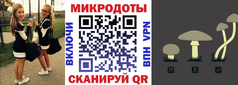цены наркотик Полесск Псилоцибиновые грибы мицелий